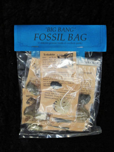 Fossil Party Bags
